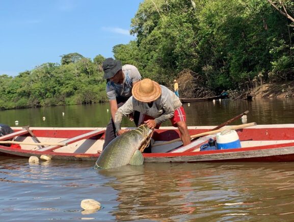 Governo do Amazonas garante direito ao seguro-defeso de 80 mil pescadores com ampliação de prazo para emissão da nova CIN